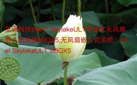 艾讯科技Intel？SkylakeULT手持式无风扇嵌入式系统eBOX5，无风扇嵌入式系统：Intel SkylakeULT eBOX5